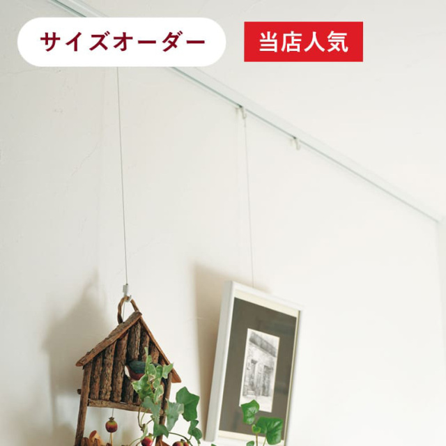 ピクチャーレール L-5 【サイズオーダー】