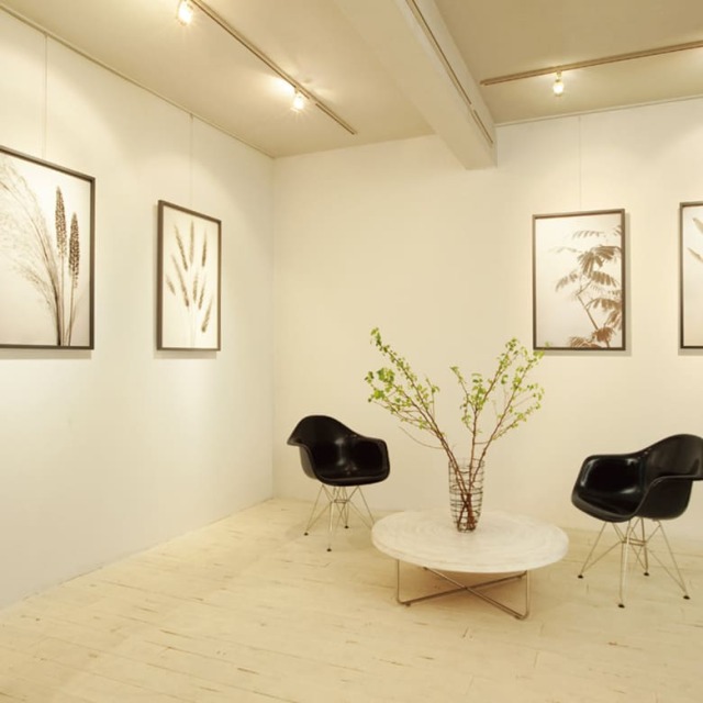 ピクチャーレール T-1