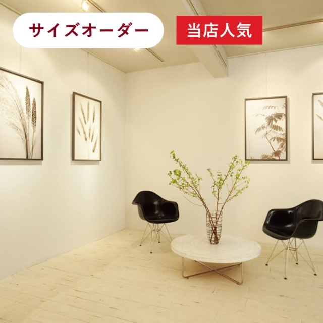 ピクチャーレール T-1 【サイズオーダー】