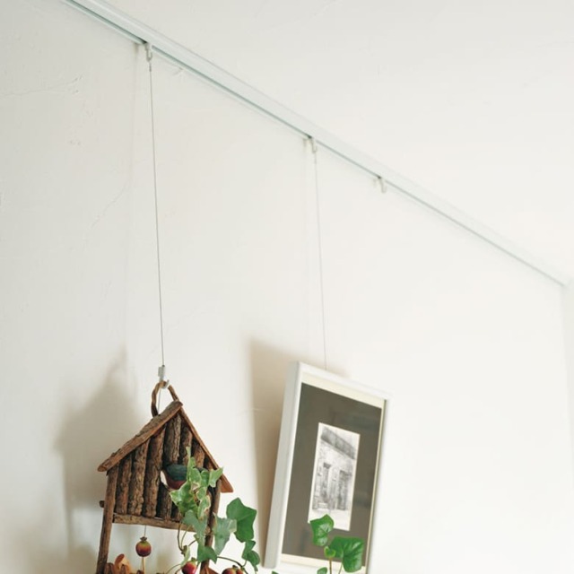 ピクチャーレール L-5